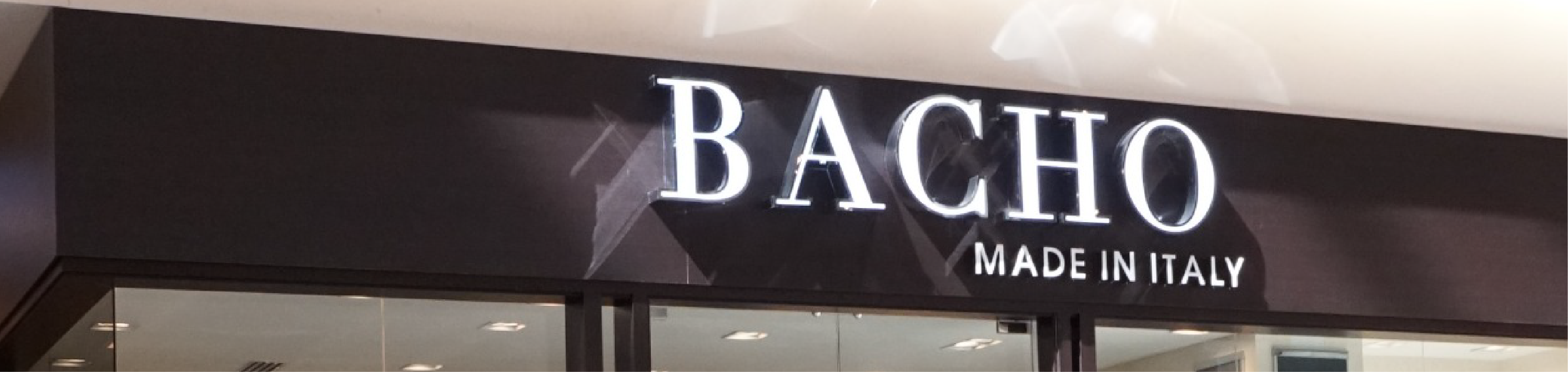 Bacho