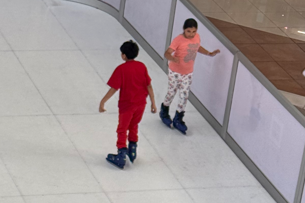 Pista de Patinaje